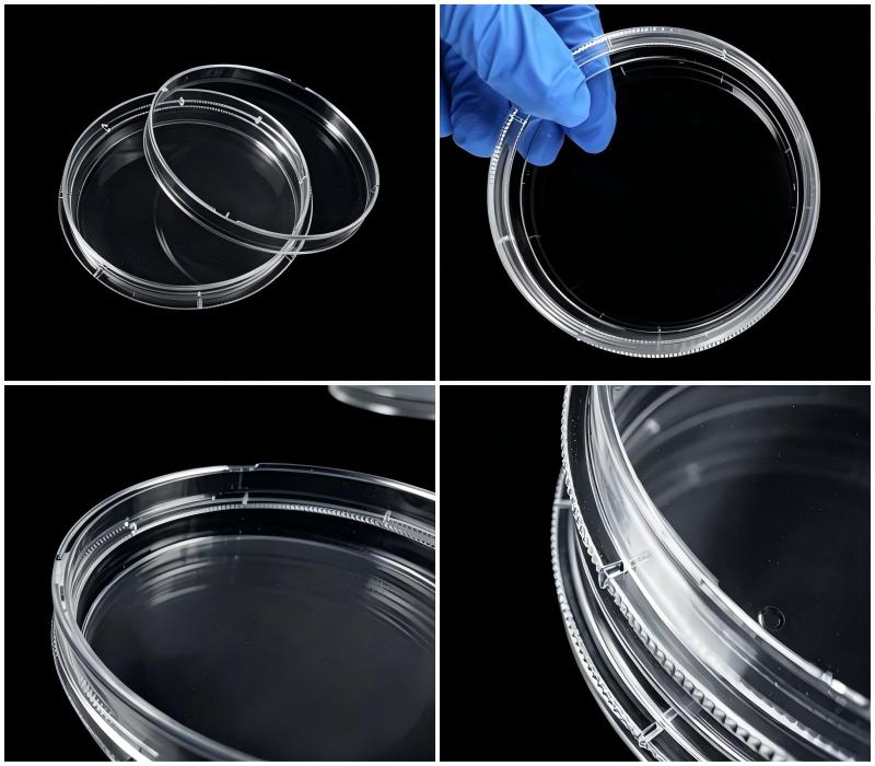 Labmore 2.jpg Labmore 2.jpg